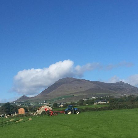 Willowtree Glamping Mournes Willa Annalong Zewnętrze zdjęcie