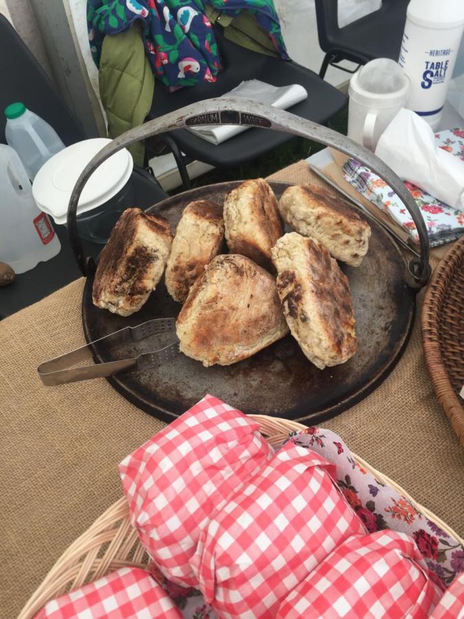 Willowtree Glamping Mournes Willa Annalong Zewnętrze zdjęcie
