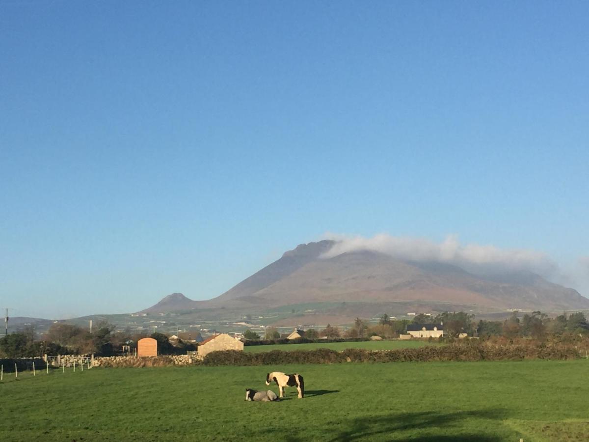 Willowtree Glamping Mournes Willa Annalong Zewnętrze zdjęcie